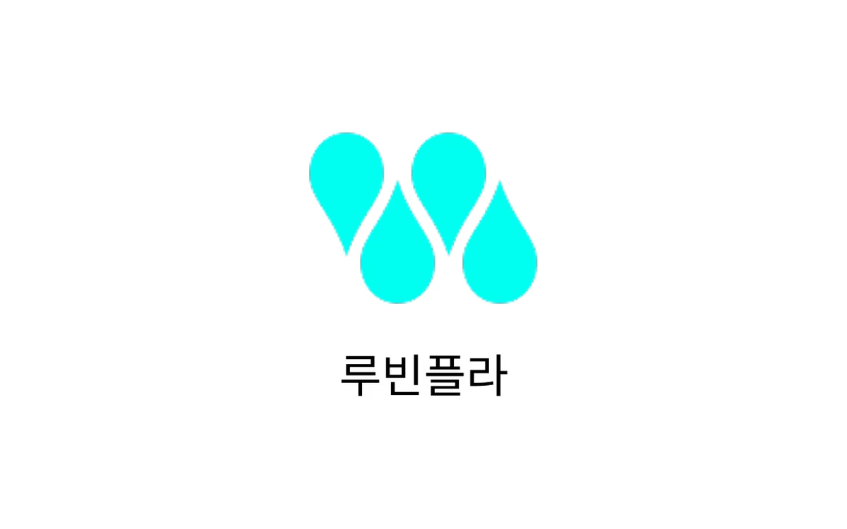 루빈플라 프로젝트 이미지
